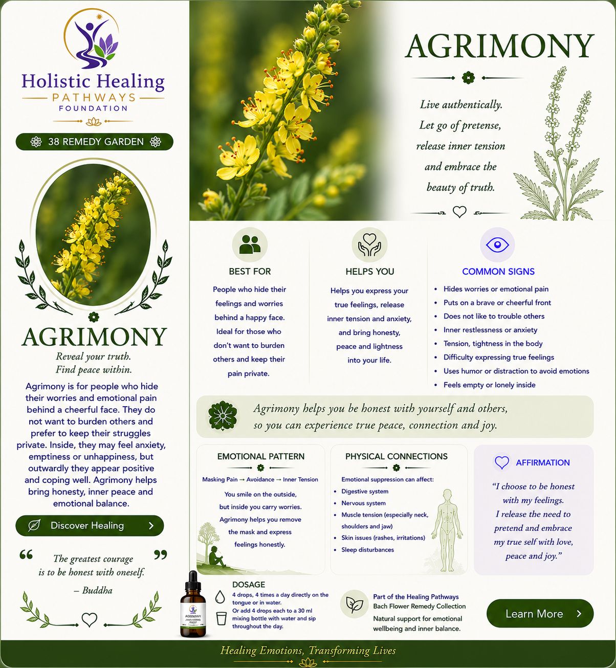 Agrimony — Bach flower remedy