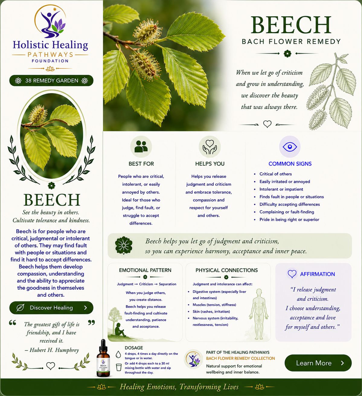 Beech — Bach flower remedy