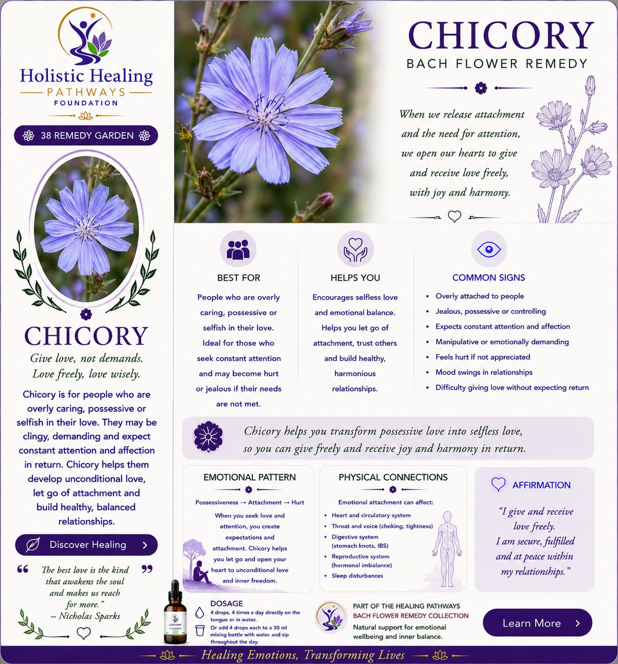 Chicory — Bach flower remedy