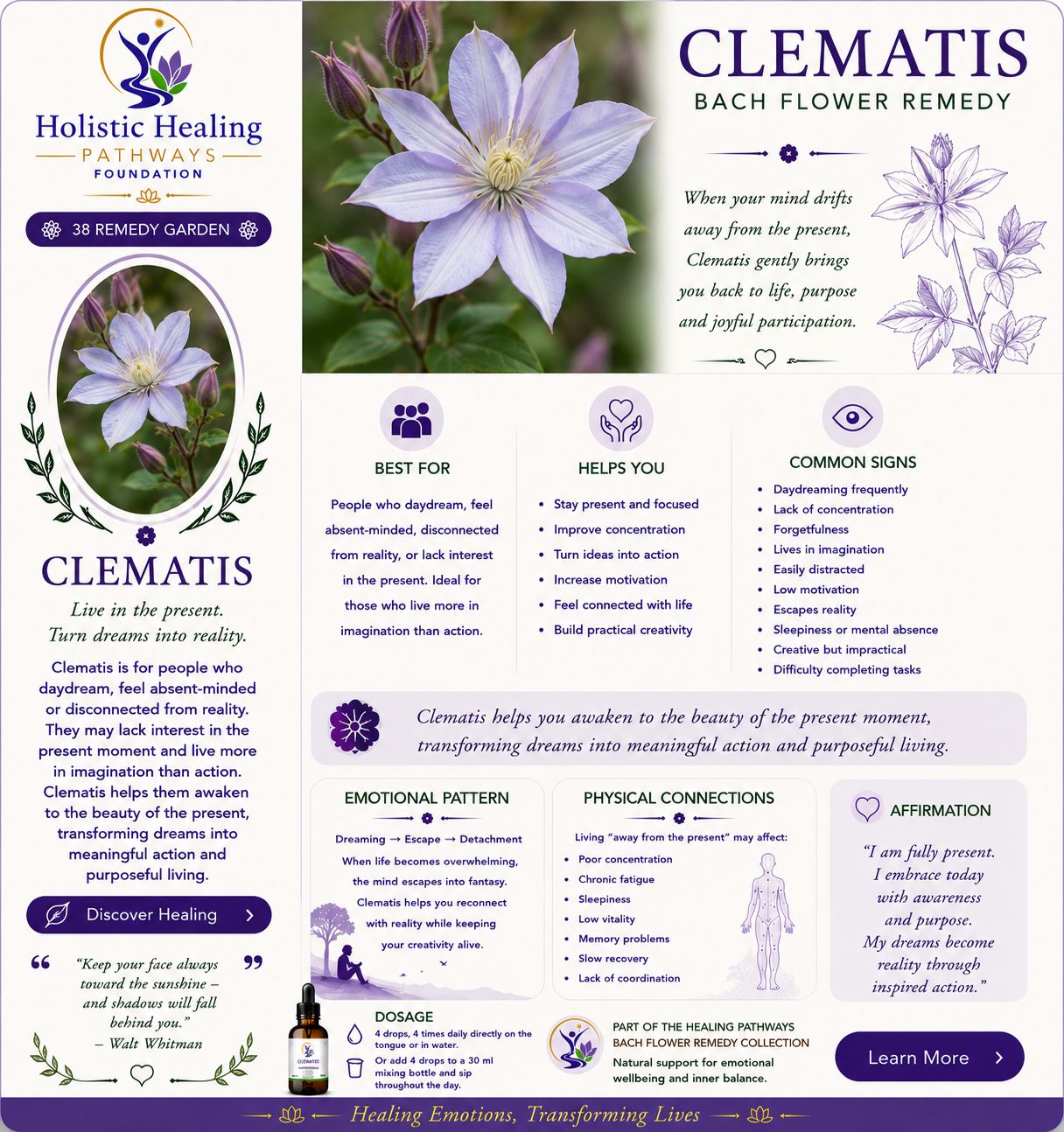 Clematis — Bach flower remedy