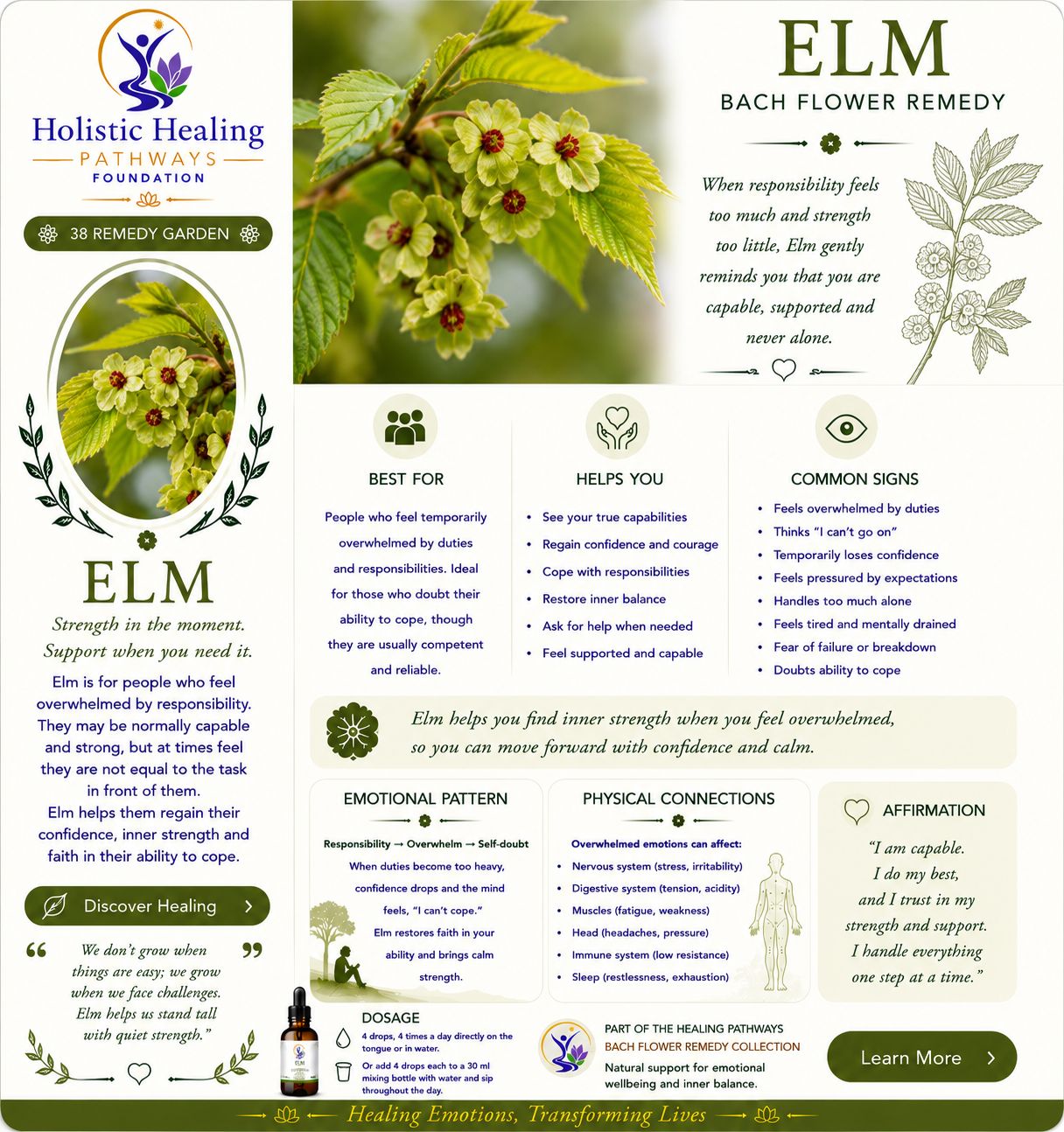 Elm — Bach flower remedy