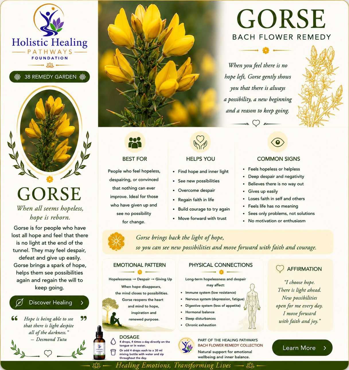 Gorse — Bach flower remedy