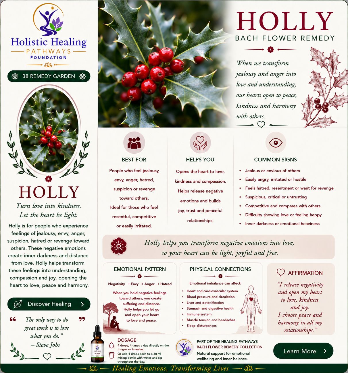 Holly — Bach flower remedy