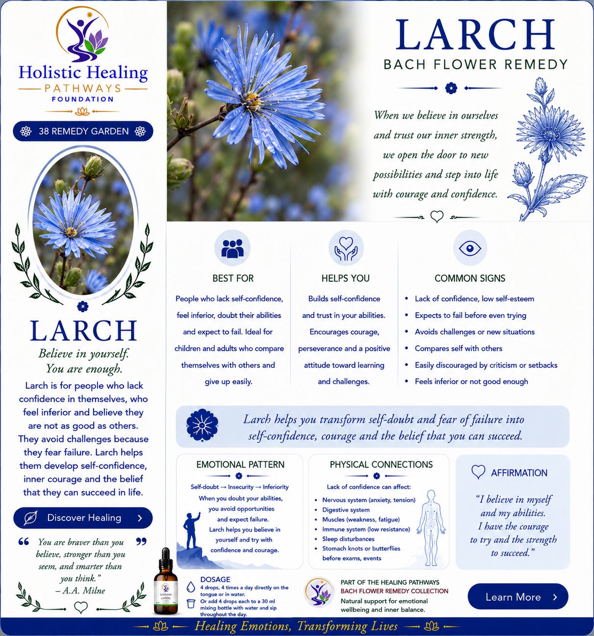 Larch — Bach flower remedy