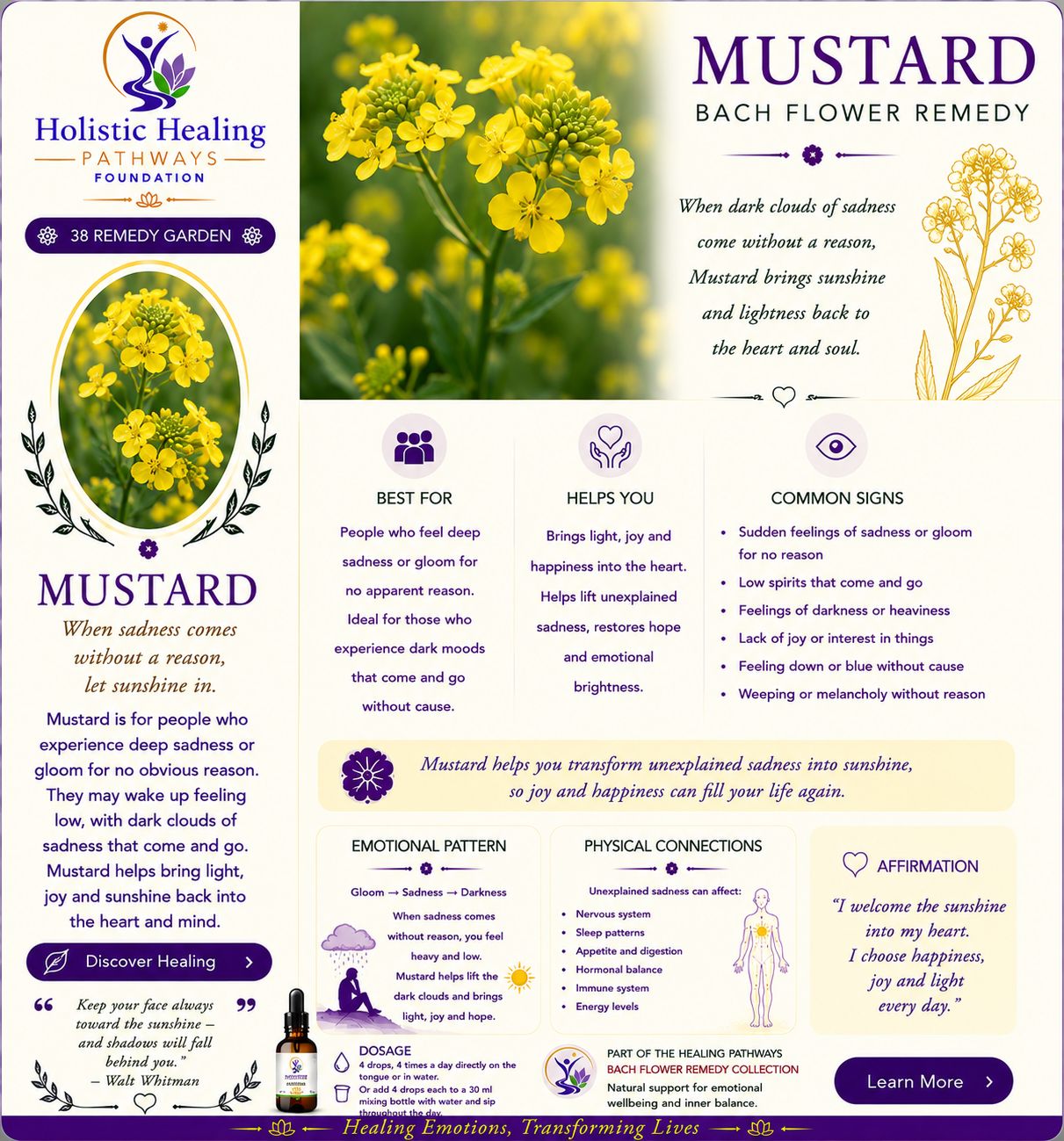 Mustard — Bach flower remedy