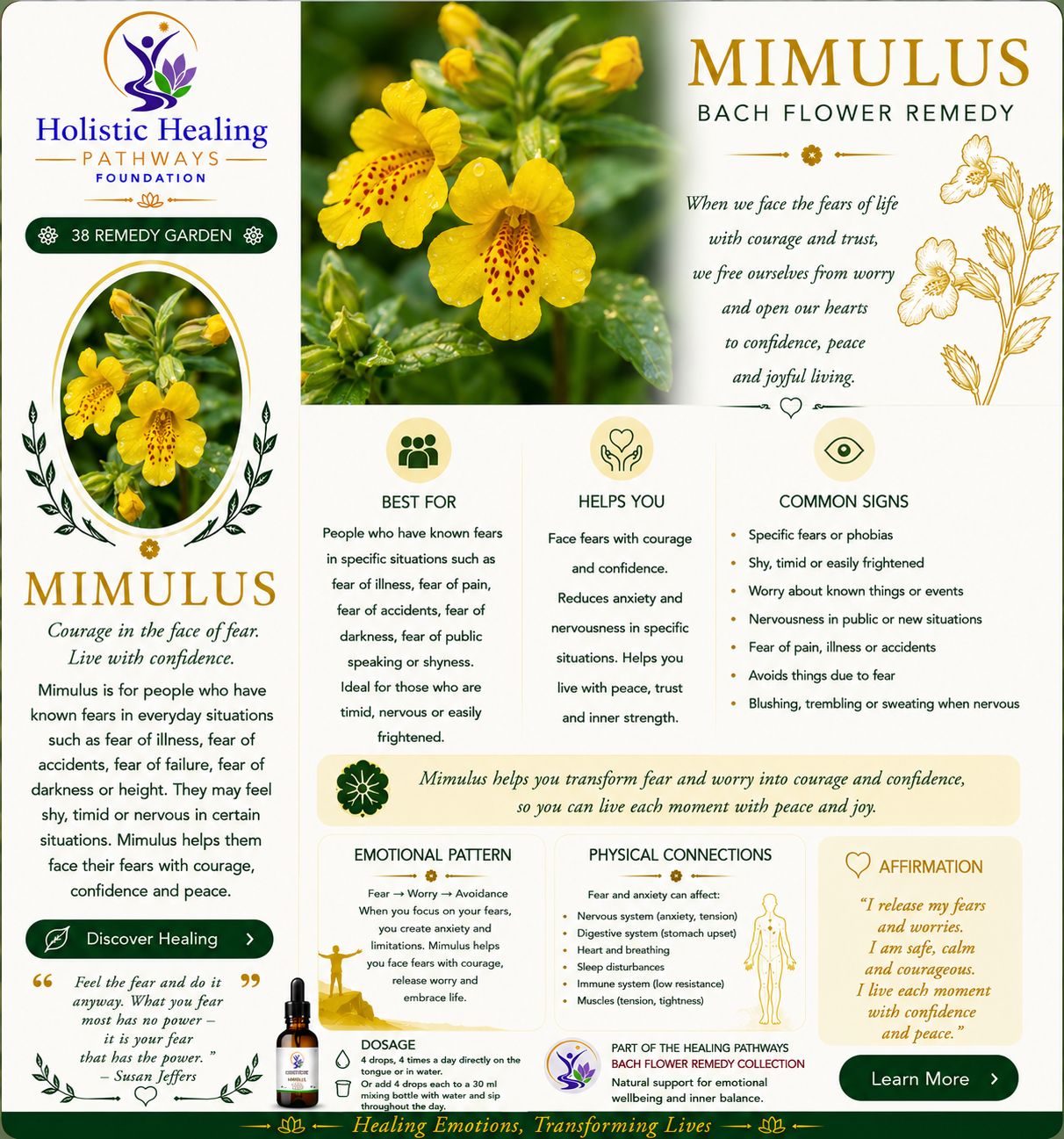 Mimulus — Bach flower remedy