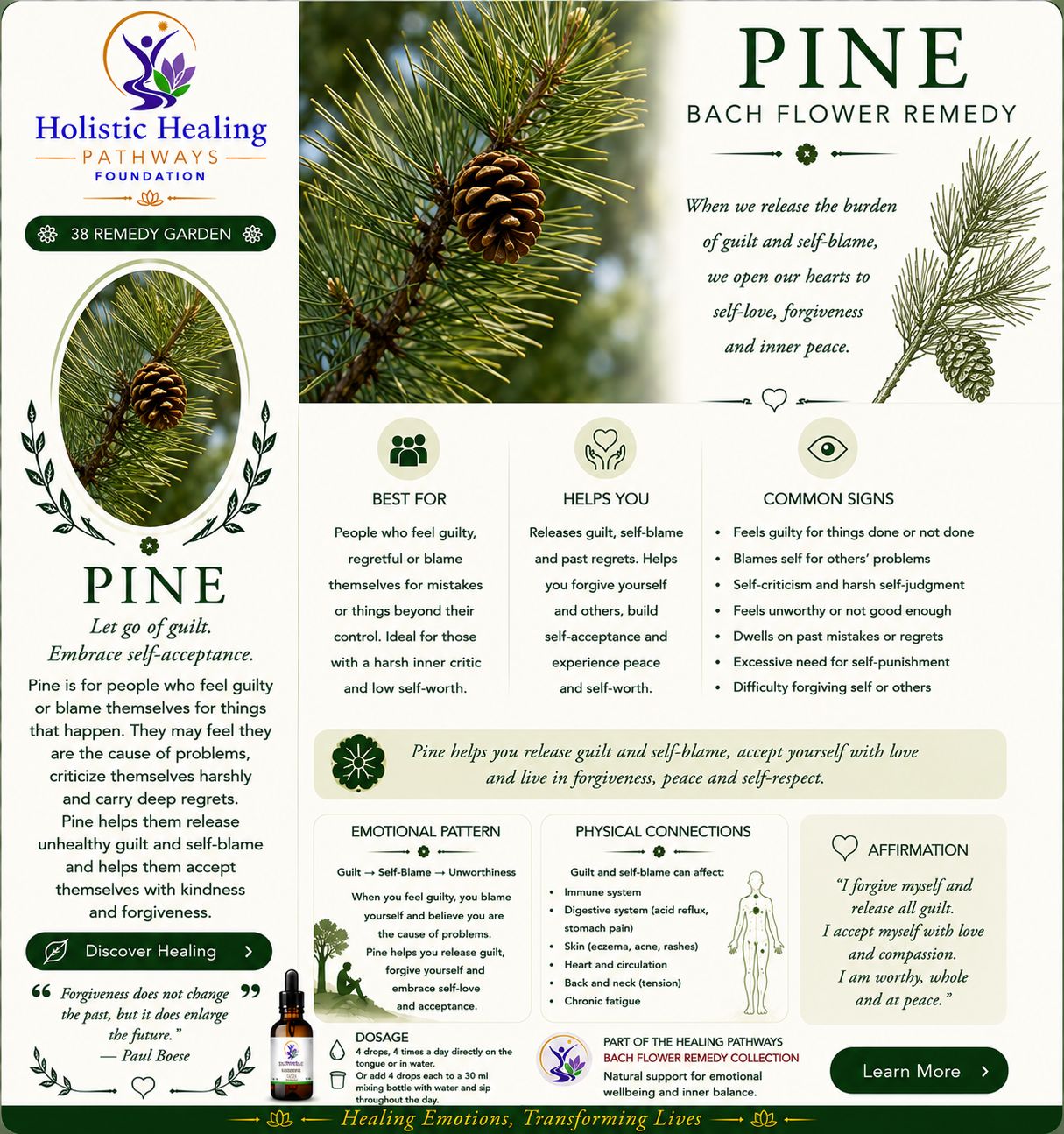 Pine — Bach flower remedy
