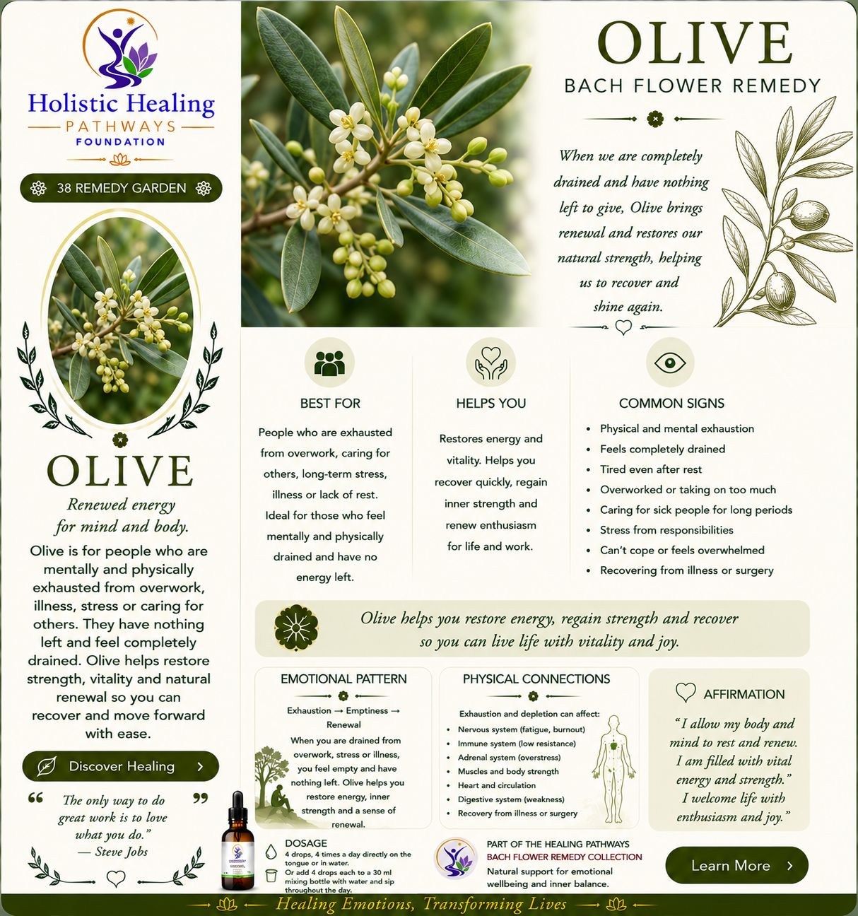 Olive — Bach flower remedy