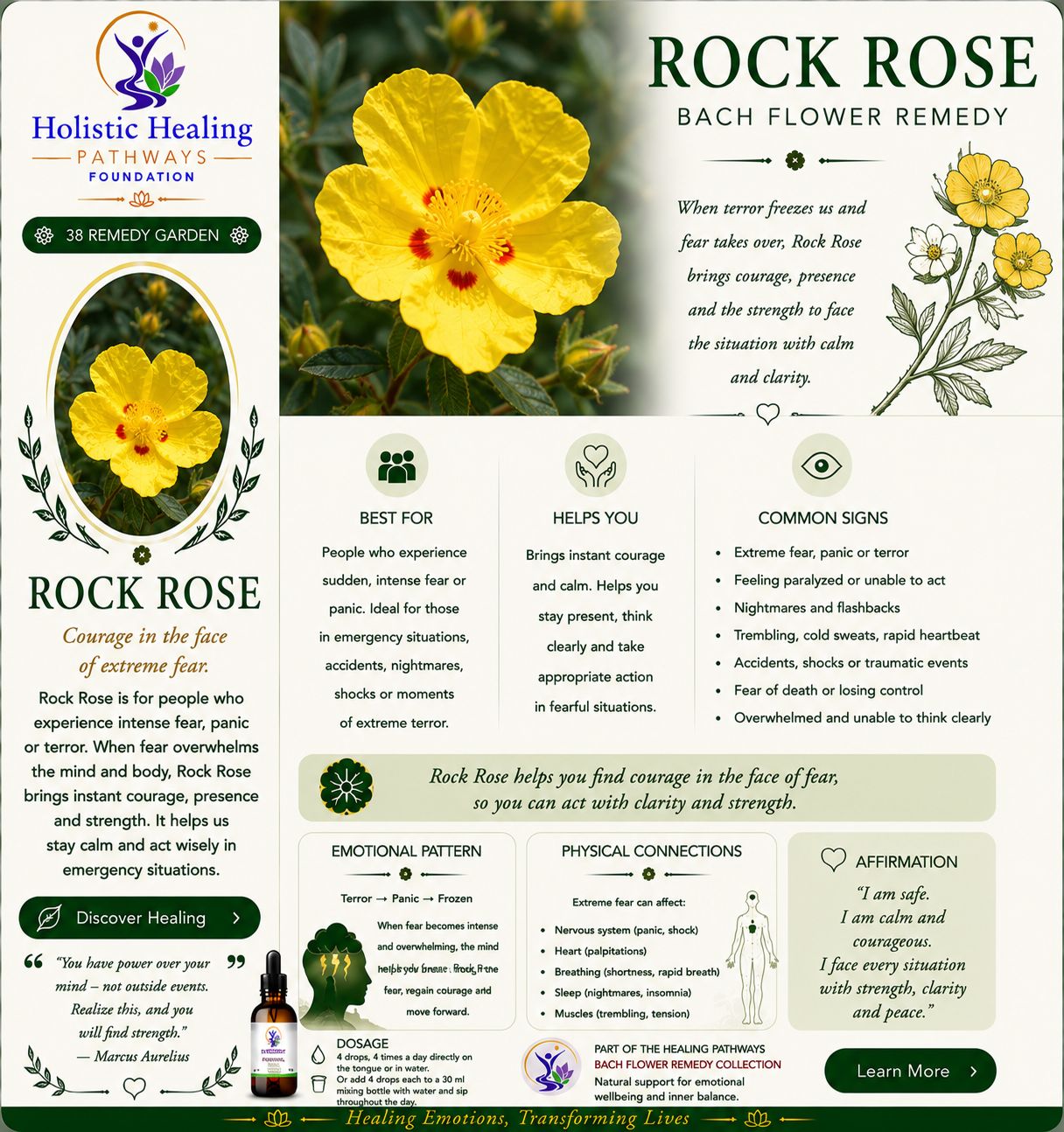 Rock Rose — Bach flower remedy