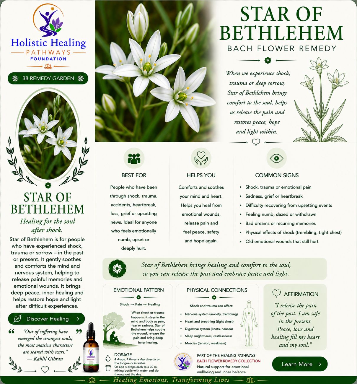 Star of Bethlehem — Bach flower remedy