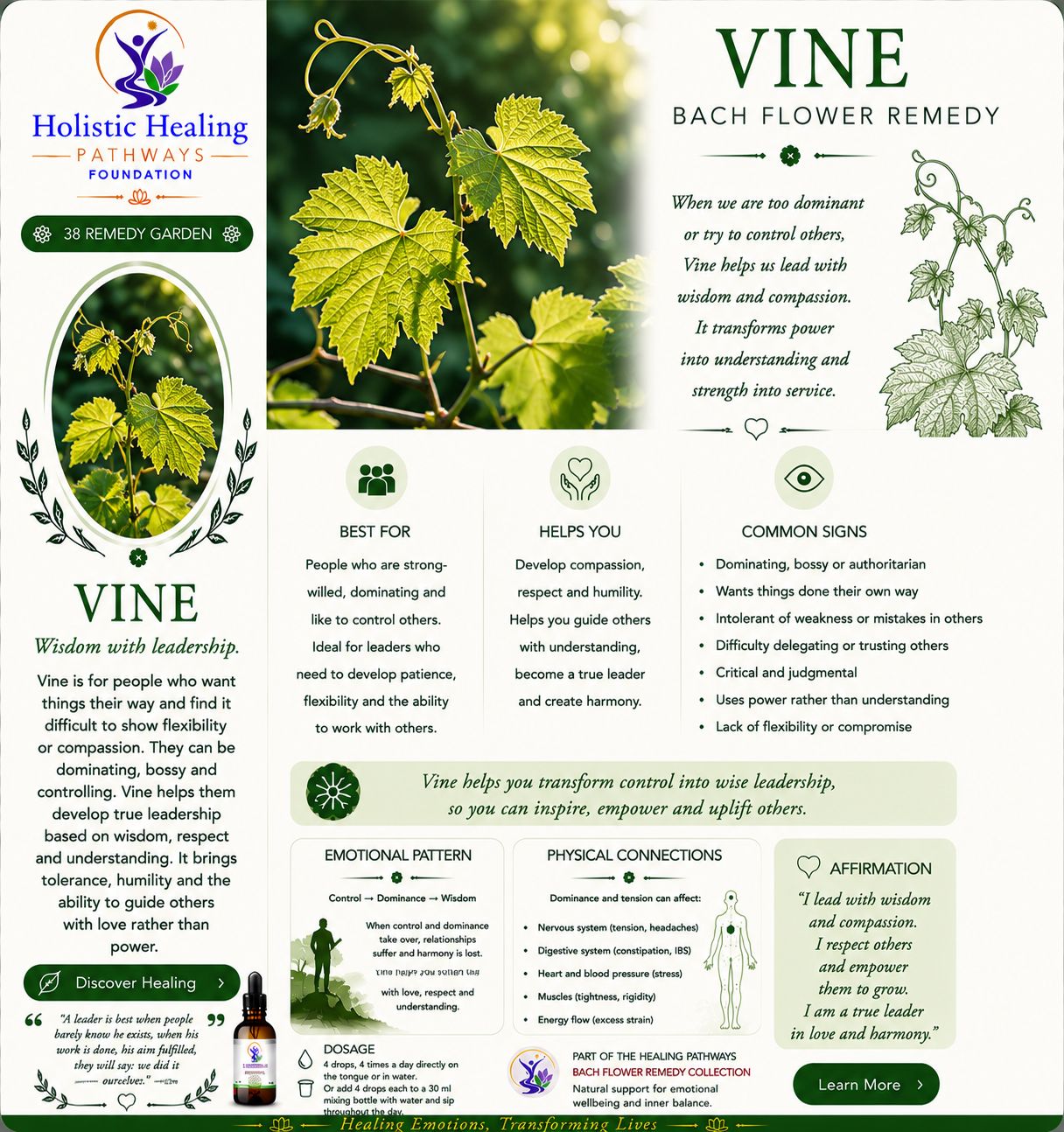 Vine — Bach flower remedy