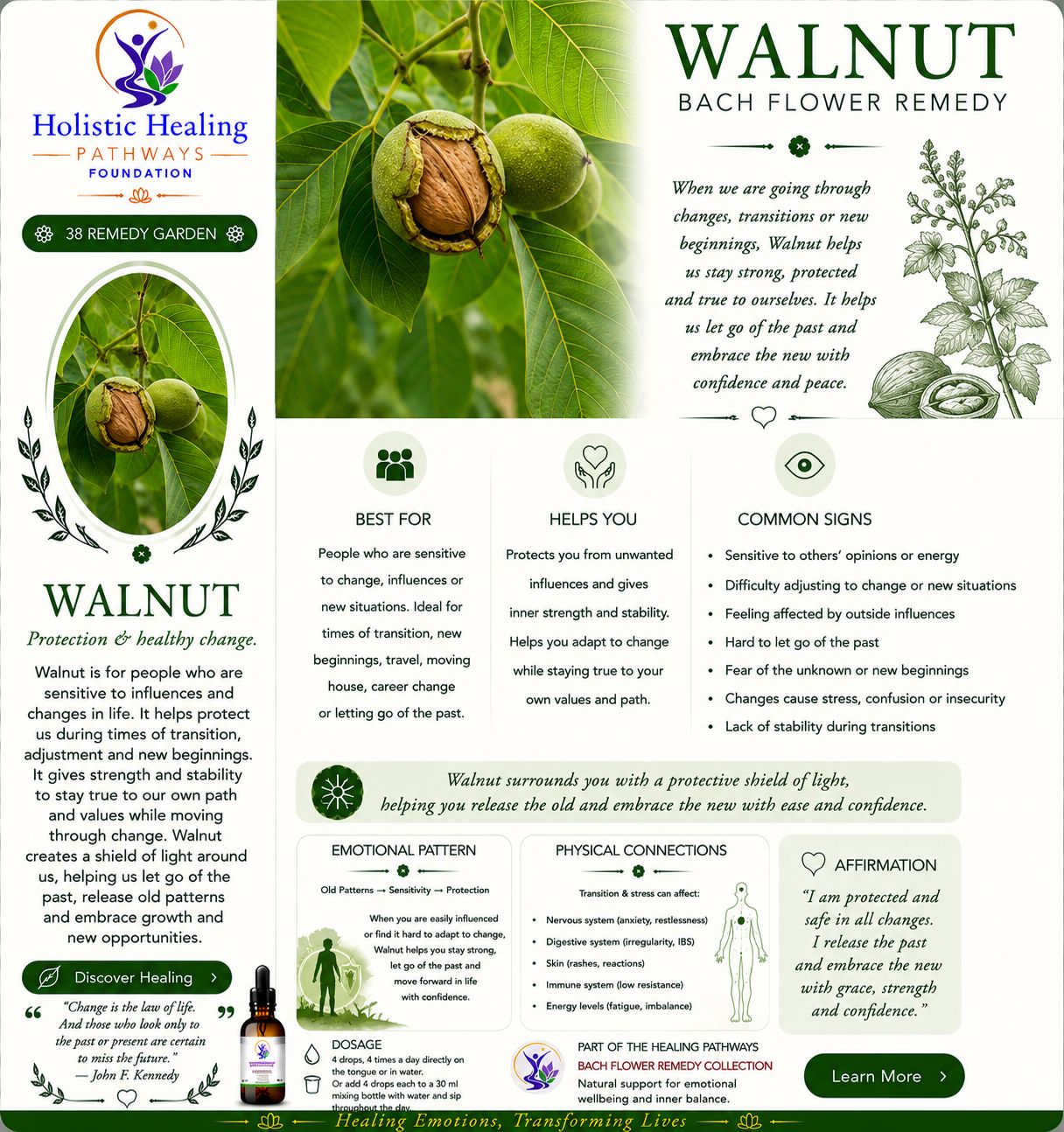 Walnut — Bach flower remedy