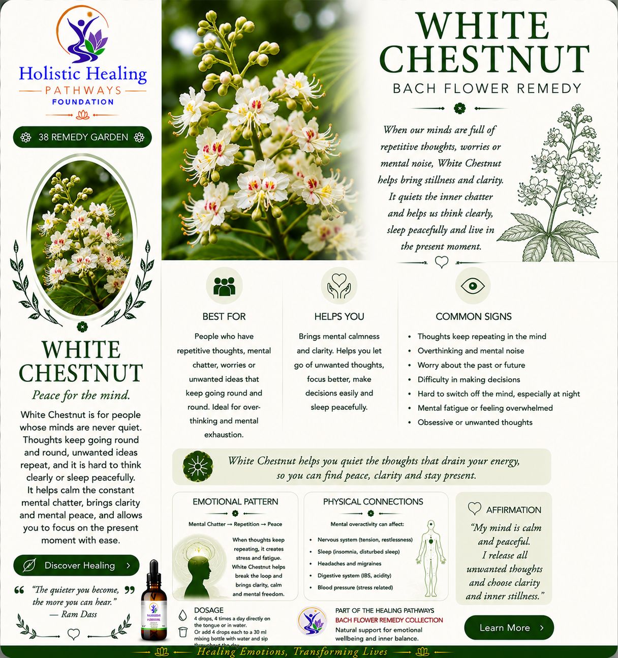 White Chestnut — Bach flower remedy
