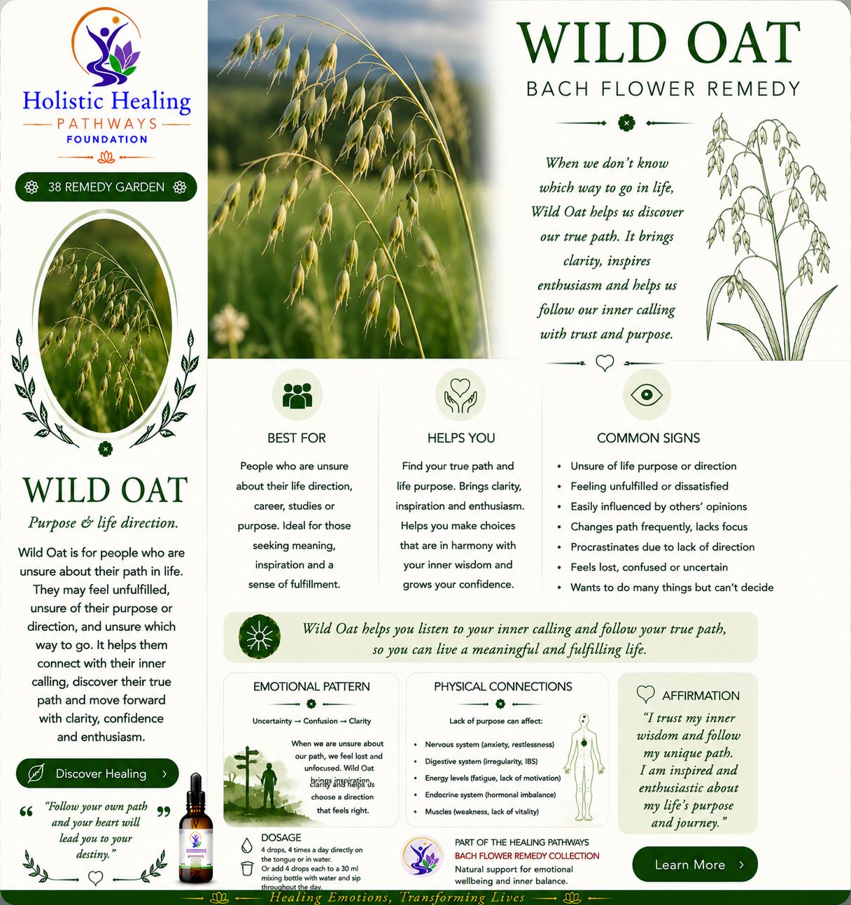 Wild Oat — Bach flower remedy
