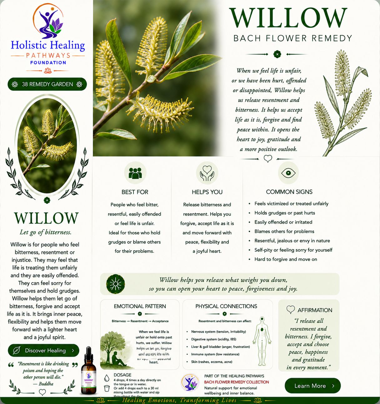 Willow — Bach flower remedy